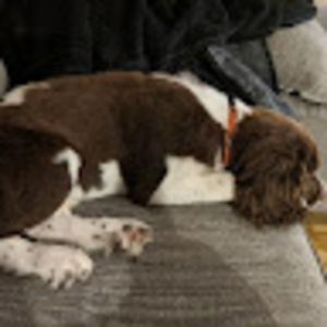 Meet your Posher, Erica